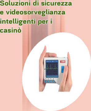 Servizio di sviluppo di prodotti software per casin&ograve;