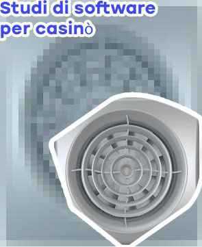 Sviluppatore di siti web per casin&ograve;